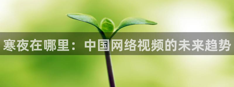 龙门直播app：寒夜在哪里：中国网络视频的未来趋势